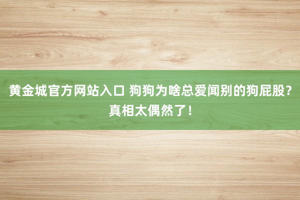 黄金城官方网站入口 狗狗为啥总爱闻别的狗屁股？真相太偶然了！