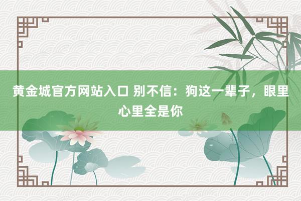 黄金城官方网站入口 别不信：狗这一辈子，眼里心里全是你