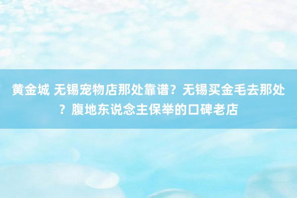 黄金城 无锡宠物店那处靠谱？无锡买金毛去那处？腹地东说念主保举的口碑老店