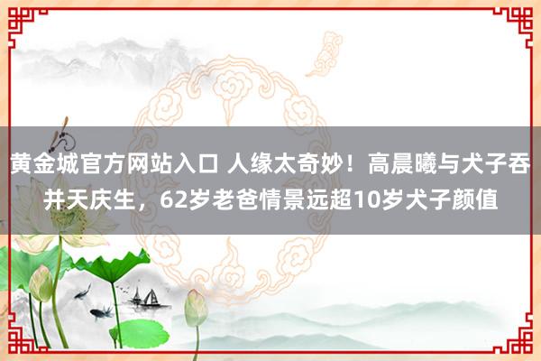 黄金城官方网站入口 人缘太奇妙！高晨曦与犬子吞并天庆生，62岁老爸情景远超10岁犬子颜值