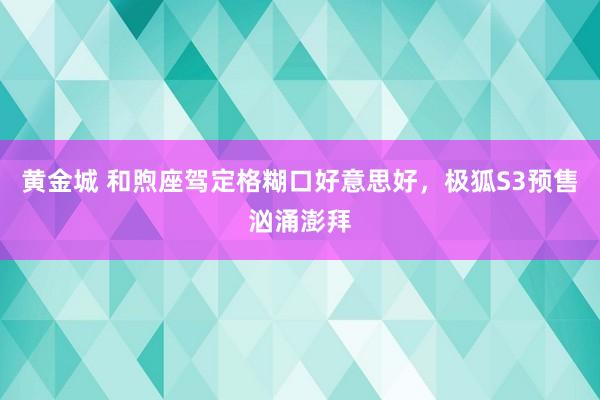 黄金城 和煦座驾定格糊口好意思好，极狐S3预售汹涌澎拜