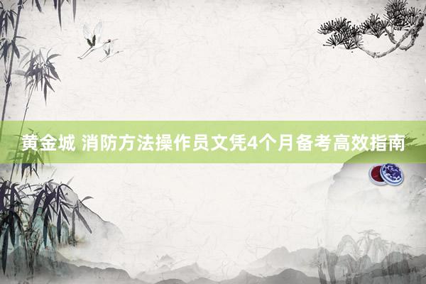黄金城 消防方法操作员文凭4个月备考高效指南