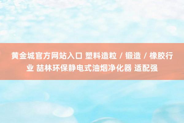 黄金城官方网站入口 塑料造粒 / 锻造 / 橡胶行业 喆林环保静电式油烟净化器 适配强