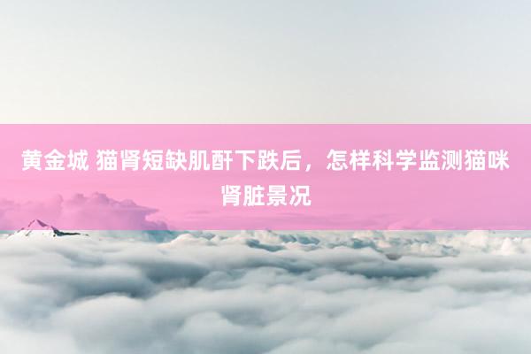 黄金城 猫肾短缺肌酐下跌后，怎样科学监测猫咪肾脏景况