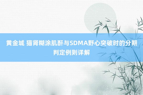 黄金城 猫肾糊涂肌酐与SDMA野心突破时的分期判定例则详解