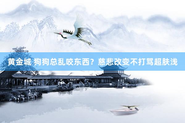 黄金城 狗狗总乱咬东西？慈悲改变不打骂超肤浅