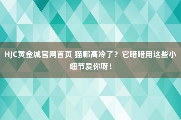 HJC黄金城官网首页 猫哪高冷了？它暗暗用这些小细节爱你呀！