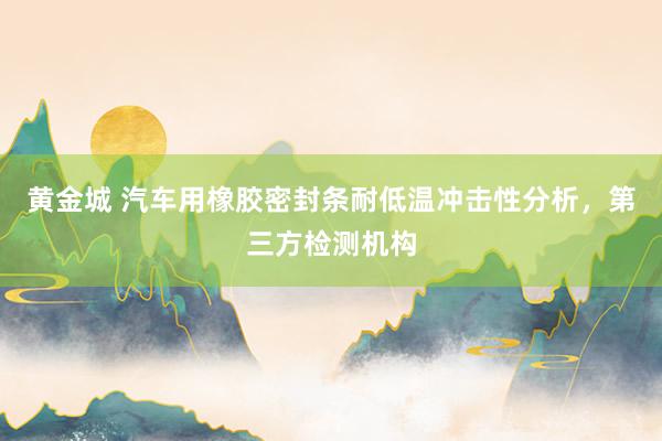 黄金城 汽车用橡胶密封条耐低温冲击性分析，第三方检测机构