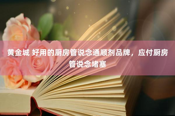 黄金城 好用的厨房管说念通顺剂品牌，应付厨房管说念堵塞