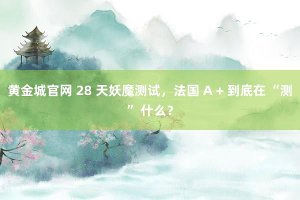 黄金城官网 28 天妖魔测试，法国 A + 到底在 “测” 什么？