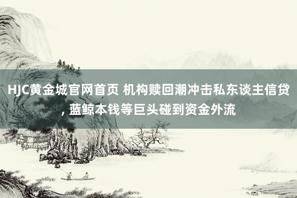 HJC黄金城官网首页 机构赎回潮冲击私东谈主信贷， 蓝鲸本钱等巨头碰到资金外流