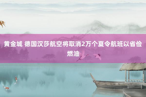 黄金城 德国汉莎航空将取消2万个夏令航班以省俭燃油