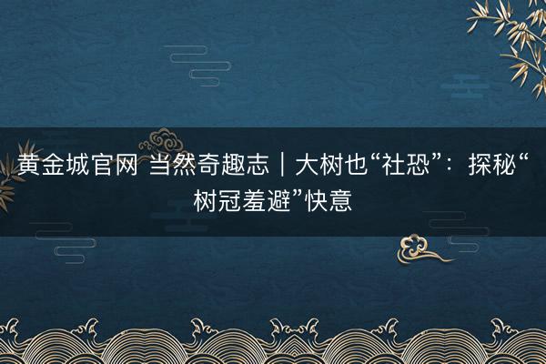 黄金城官网 当然奇趣志｜大树也“社恐”：探秘“树冠羞避”快意